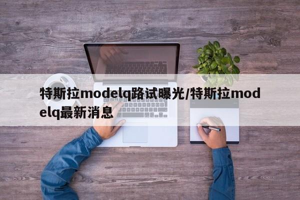 特斯拉modelq路试曝光/特斯拉modelq最新消息