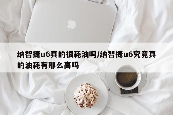 纳智捷u6真的很耗油吗/纳智捷u6究竟真的油耗有那么高吗