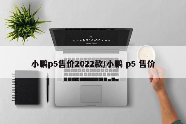 小鹏p5售价2022款/小鹏 p5 售价