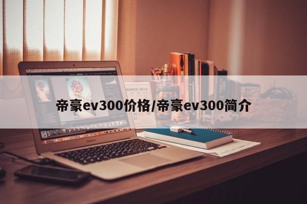 帝豪ev300价格/帝豪ev300简介