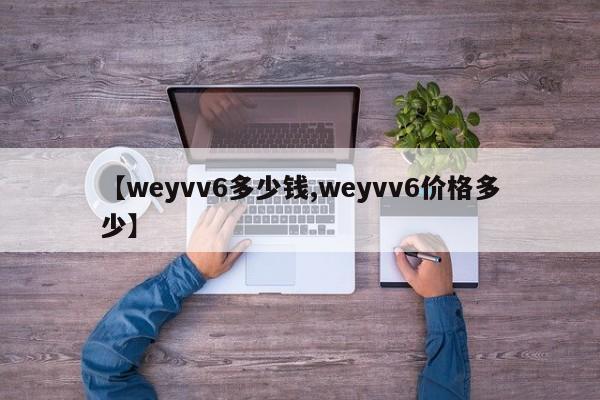 【weyvv6多少钱,weyvv6价格多少】