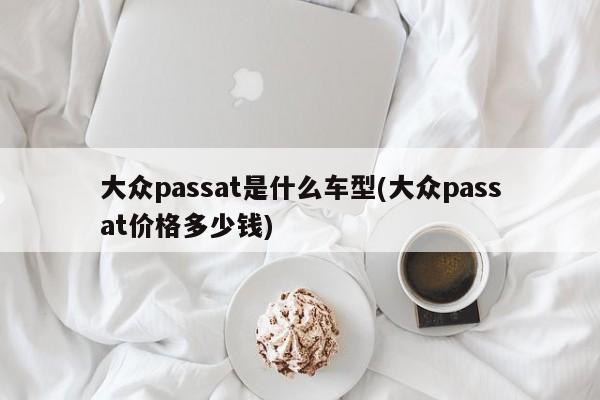 大众passat是什么车型(大众passat价格多少钱)
