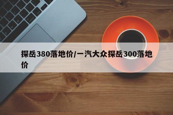 探岳380落地价/一汽大众探岳300落地价